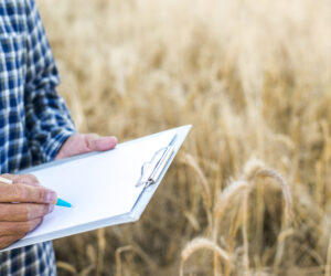 Alta nos custos de produção da safra 2026/27 exige mais planejamento do produtor rural