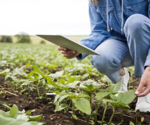 Bioinsumos ganham espaço no agronegócio e fortalecem o manejo sustentável das lavouras